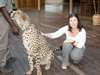 Mary Keet - cheetah interaction experience at Victoria Falls